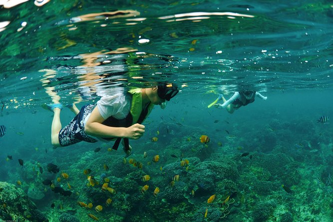 Bali Hai - Reef Cruise - Coral, village life, and a little conservation