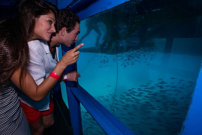 Bali Hai - Reef Cruise - What the high rating seems to reflect