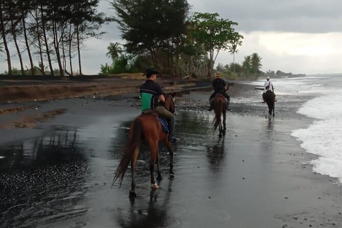 Bali Horse Riding Trot & Canter Saba Beach with Local Temple - Guides who also help with photographs