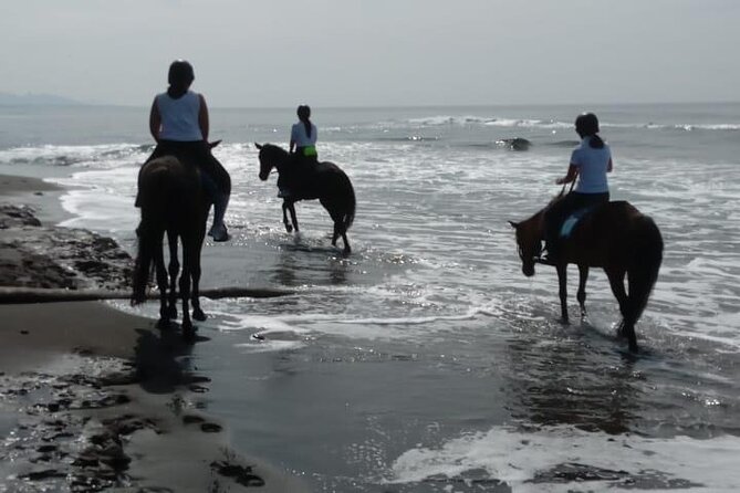 Bali Horse Riding Trot & Canter Saba Beach with Local Temple - What the $39 price gives you