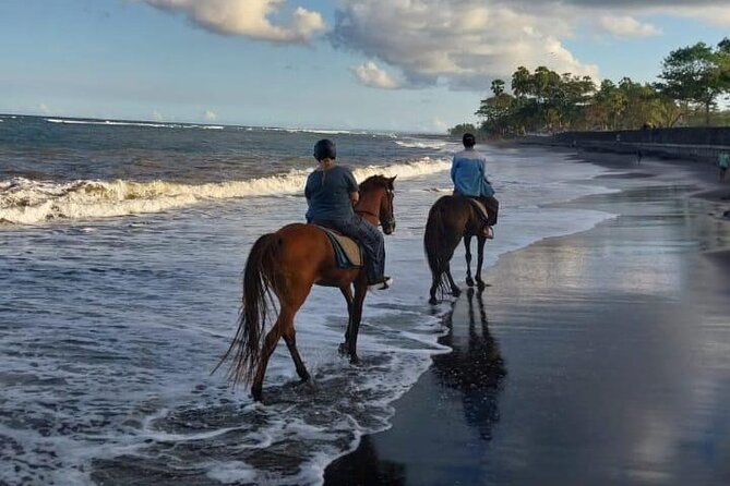 Bali Horse Riding Trot & Canter Saba Beach with Local Temple - Who should book this Saba Beach ride