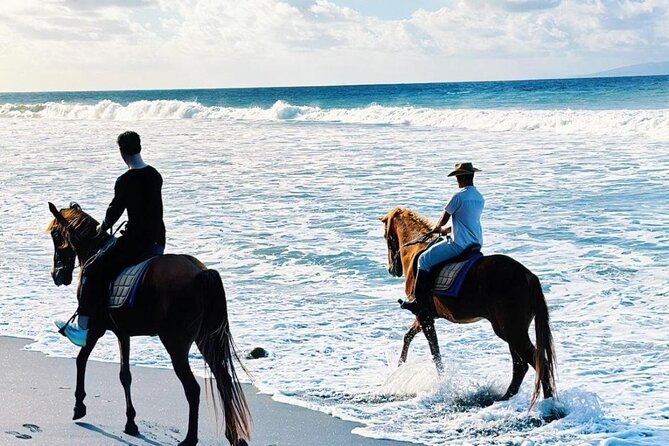 Bali Horse Riding Trot & Canter Saba Beach with Local Temple - Gentle horses and support for first-time riders