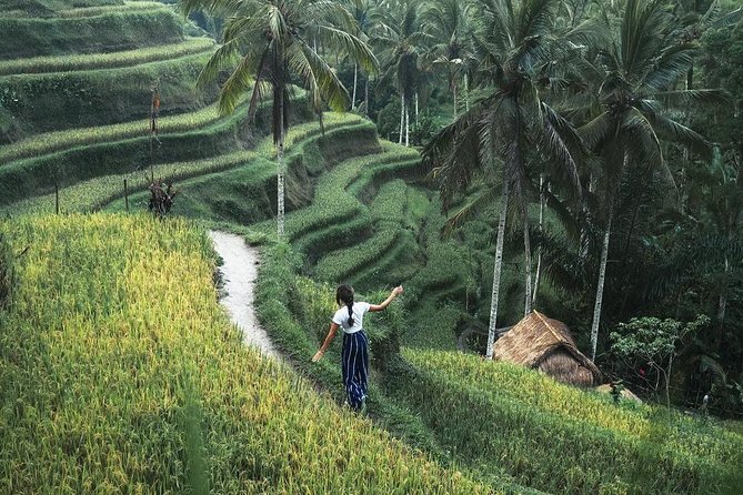 Bali Instagram Tour from Your Hotel (Private & Full-day) - Rice terraces, temples, and Ubud-area stops