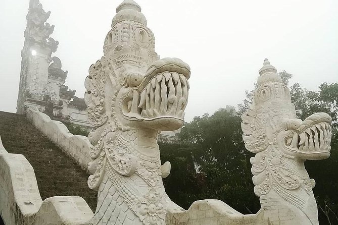 Bali Instagram Tour from Your Hotel (Private & Full-day) - The guide matters as much as the vehicle