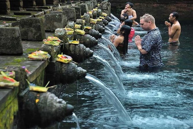 Bali Instagram Tour [Private and All-Inclusive] - Rice terraces, the jungle swing, and the giant bird nest