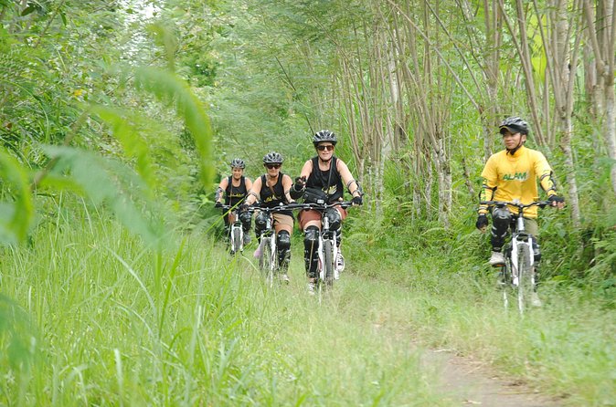 Bali Mountains and Villages Cycling Tour - Bayung Gede and traditional village customs