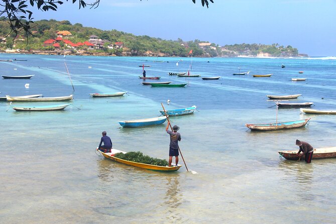 Bali Nusa Lembongan Islands Private Tour - All Inclusive - Mangrove Point and the traditional boat ride