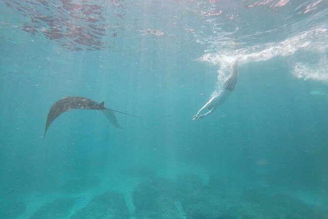 Bali Nusa Penida and Private Snorkeling (Manta Bay, Gamat, Wall) - Kelingking Beach and the famous cliff view