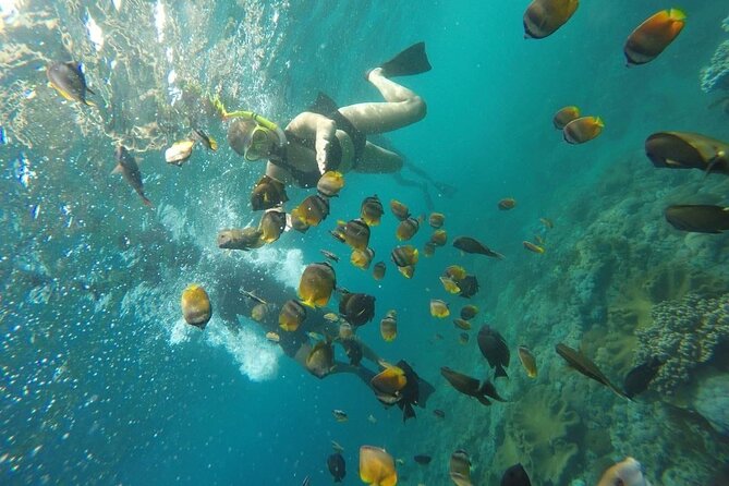 Bali Nusa Penida and Private Snorkeling (Manta Bay, Gamat, Wall) - Wall Point and the final swim