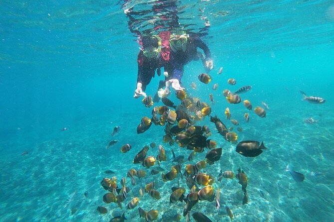 Bali Nusa Penida and Private Snorkeling (Manta Bay, Gamat, Wall) - What the private format really adds