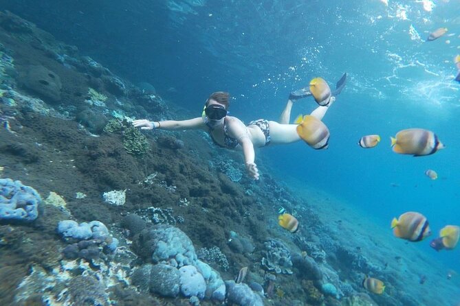 Bali Nusa Penida and Private Snorkeling (Manta Bay, Gamat, Wall) - What is included in the $145 price