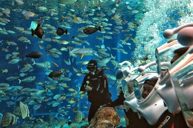 Bali Ocean Walker - Learning the helmet and underwater routine