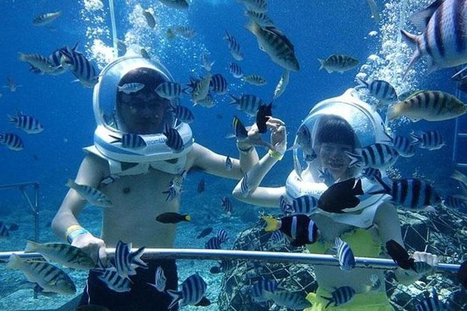 Bali Ocean Walker - Thirty minutes among fish and marine life