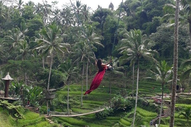 Bali Private 3 Days Tour Package Highlight - Booking advice and cancellation terms