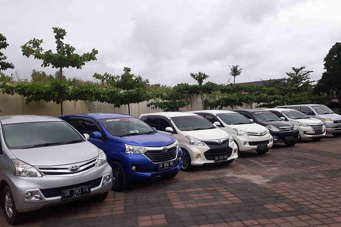 Bali Private Car Charter with English Speaking Driver - Ubud: temples, waterfalls, and rice terraces