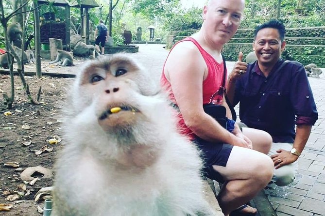Bali Private Custom Tour - Bali Car Hire with Driver - Ubud, Uluwatu, temples, and natural stops