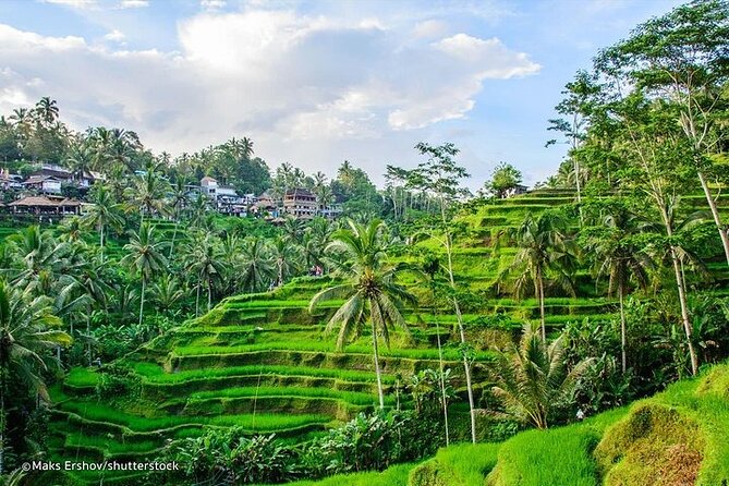 Bali Private inclusive tour: Best of Ubud in a Day - Why this route works for a single day in Ubud