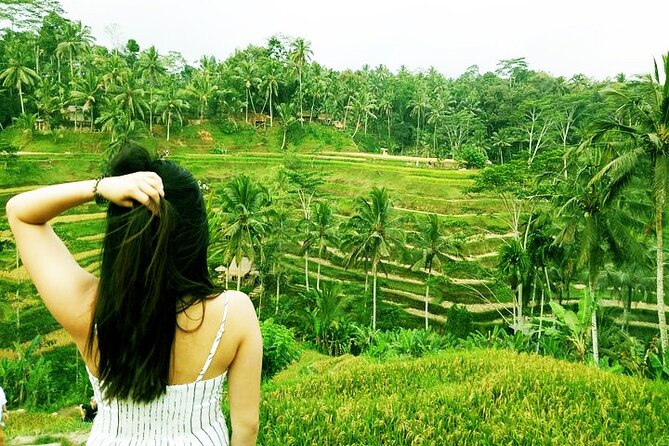 Bali Private inclusive tour: Best of Ubud in a Day - Ubud Market and the palace in the town center