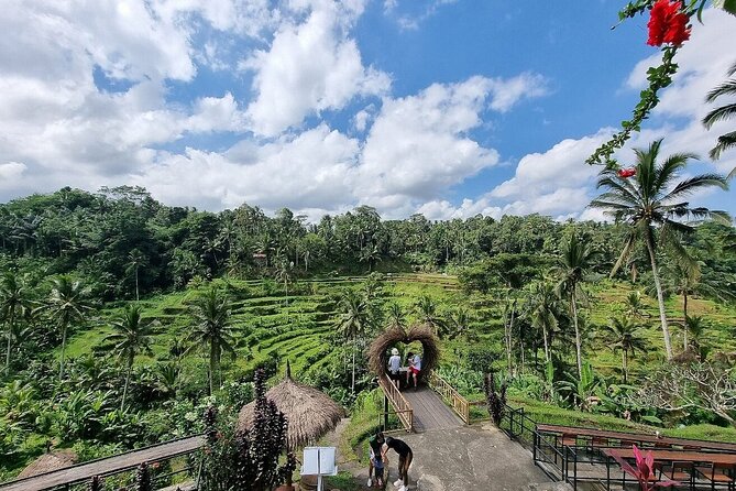 Bali Private inclusive tour: Best of Ubud in a Day - Is $48.11 a good value?