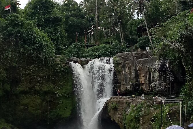 Bali Private Tour Guide And Driver - Markets, performances, and Balinese food