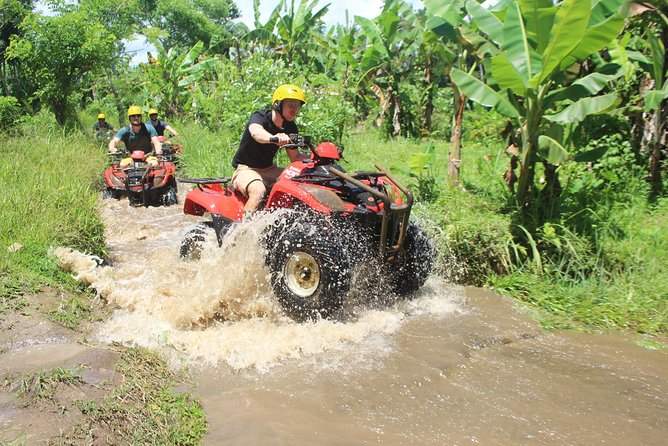 Bali Private Tour Guide And Driver - The value of $32 for private transportation