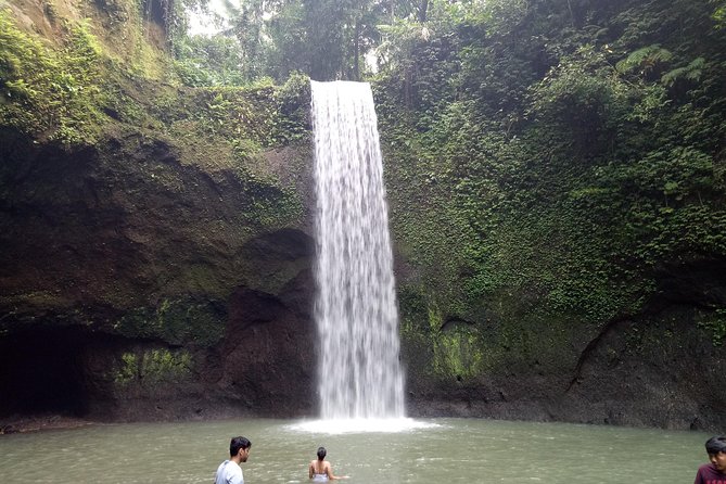 Bali Private Tour Guide And Driver - Ubud for culture, rice terraces, and village life