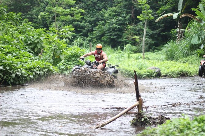 Bali Quad Bike ATV with Flying Fox - The 8 a.m. pickup from Kuta sets the pace