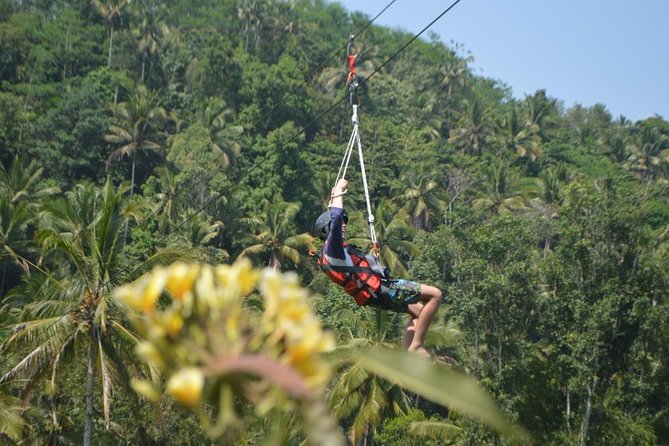 Bali Quad Bike ATV with Flying Fox - Who will enjoy this adventure most