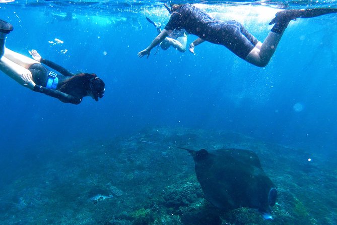 Bali Scuba Diving at Nusa Penida Manta Point For Certified Diver - A full day at sea requires sensible planning