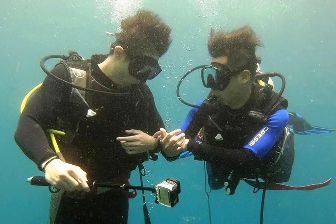 Bali Scuba Diving at Nusa Penida Manta Point For Certified Diver - Marine life beyond the mantas