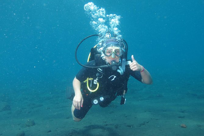 Bali Scuba Diving trip at Tulamben for Certified Diver - What the marine life may offer