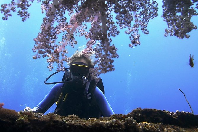 Bali Scuba Diving trip at Tulamben for Certified Diver - What happens at the Tulamben shore entry