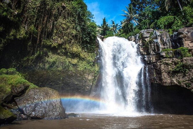 Bali Shore Excursions : Best of Bali Tour - Why this private Ubud day works from Bali’s port