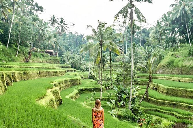 Bali Shore Excursions : Best of Bali Tour - Keeping the day comfortable and realistic