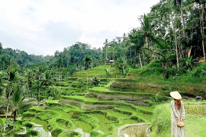 Bali Shore Excursions : Best of Bali Tour - Who will get the most from this excursion