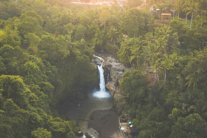 Bali Shore Excursions : Best of Bali Tour - Tegenungan Waterfall brings the day outdoors