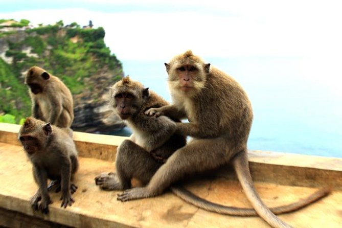 Bali Sunset: Uluwatu Temple, Kecak Dance and Jimbaran - Jimbaran Bay and dinner on the sand