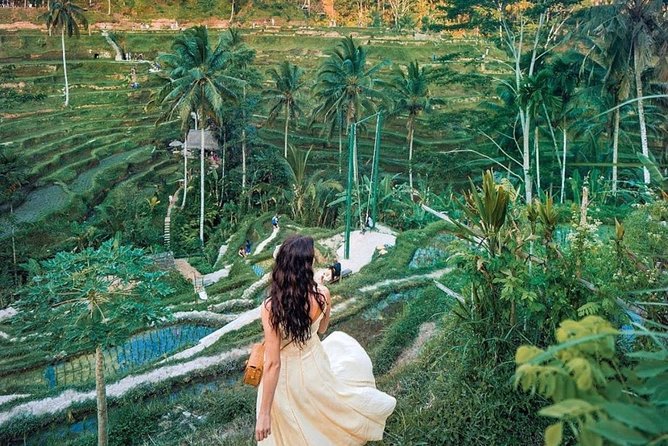 Bali Tour : Best Attractions in Ubud with Rice Terrace - Meeting Bali’s monkeys in the Sacred Monkey Forest