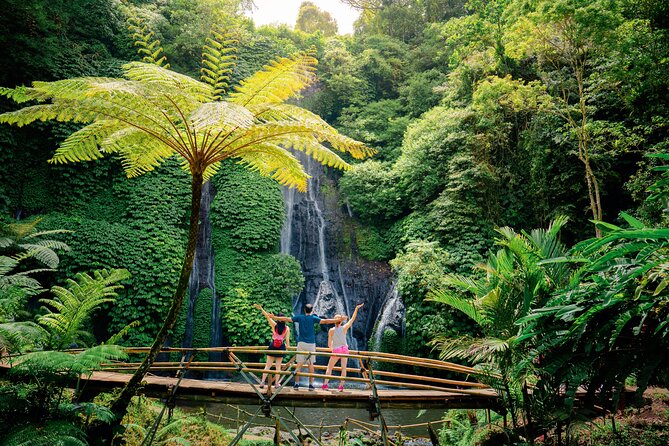 Bali Waterfall Tour – Hidden Spot All Inclusive Private Day Trip - The $89 price and what it really covers