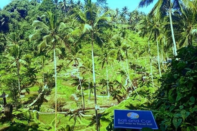 Best bali transport service - custom your own itinerary - Why the private format works well for families and friends