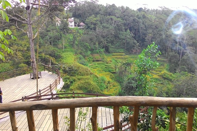 Best of Bali : Ubud, Rice terrace, Tanah lot temple with Lunch - One day, several sides of Bali