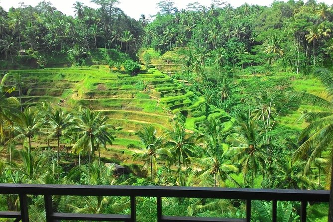 Best of Bali : Ubud, Rice terrace, Tanah lot temple with Lunch - Tegalalang Rice Terrace: a quick look at Bali’s farm country