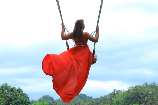Best of Instagram Tour: Gate of Heaven, Tirta Gangga, Bali Swing - Aloha Ubud Swing, nests, and extra photo costs
