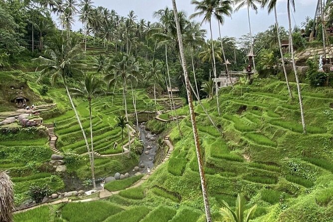 Best of Instagram Tour: Gate of Heaven, Tirta Gangga, Bali Swing - Is $100 per person a fair price?