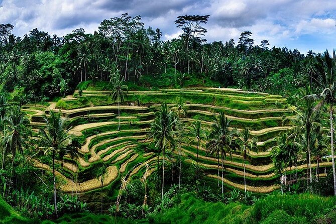 Best Of Ubud Private Day Tour With Local Guide - Celuk Village: a look at Bali’s silver craft