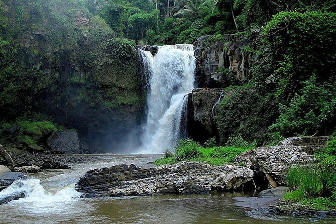 Best Of Ubud Private Day Tour With Local Guide - How the eight-hour schedule really works