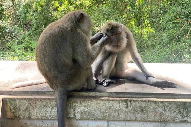 Best Of Ubud Private Day Tour With Local Guide - What the $51.51 price delivers