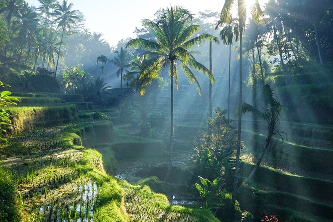 Best of Ubud: Rice Terrace, Temple and Waterfall Private Tour - Key points to know before booking