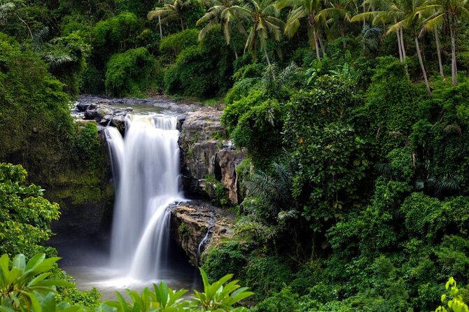 Best of Ubud: Rice Terrace, Temple and Waterfall Private Tour - Sacred Monkey Forest: temples beneath the trees