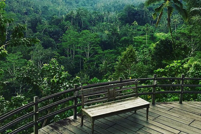 Best of Ubud: Rice Terrace, Temple and Waterfall Private Tour - Campuhan Ridge Walk and Ubud’s central sights